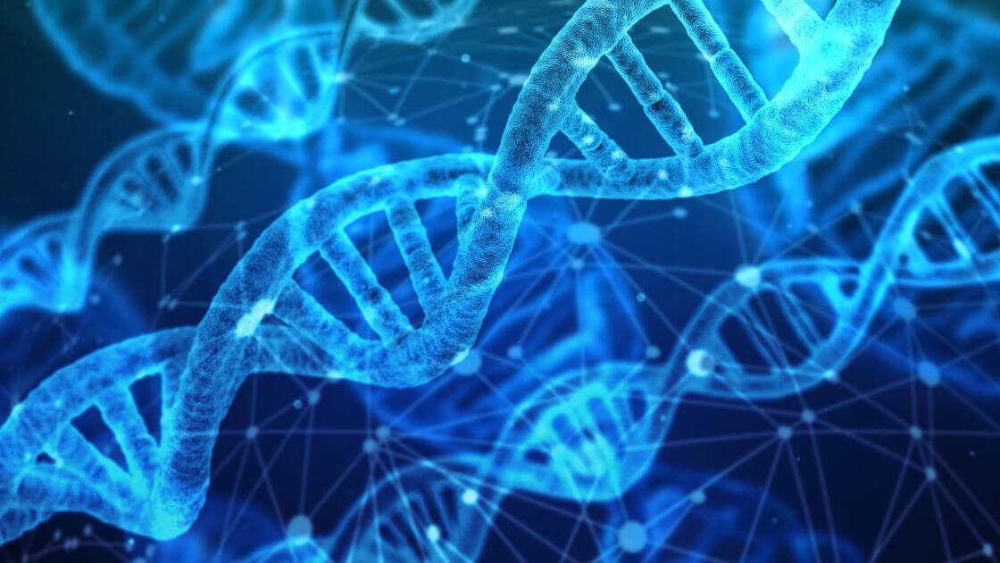 Explorando os Mistérios do DNA